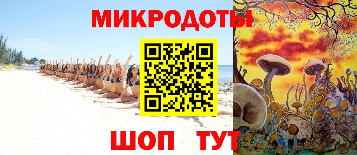 Псилоцибиновые грибы мицелий Туймазы